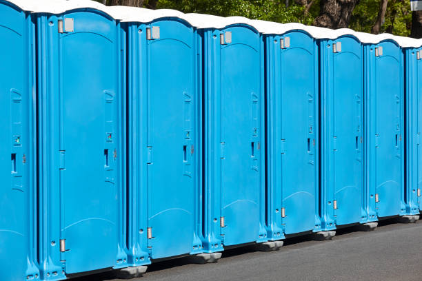 Types of Portable Toilets We Offer in Manistique, MI